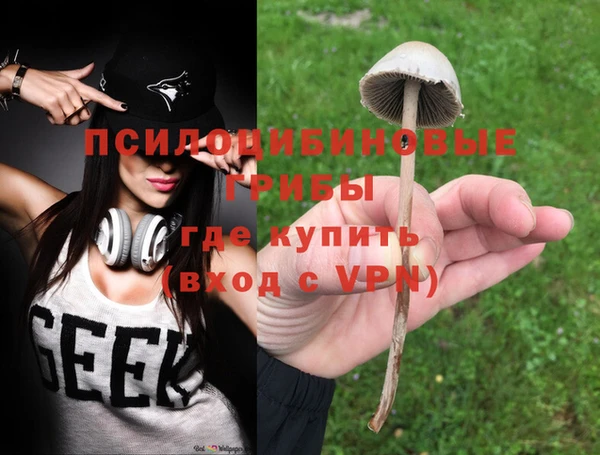 меф Вяземский