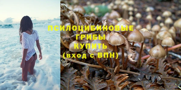 винт Вязьма