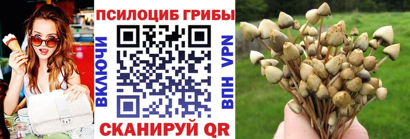 Псилоцибиновые грибы Cubensis Ростов-на-Дону